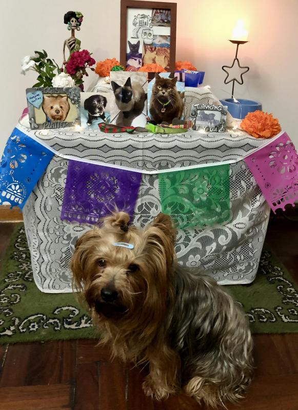 luzcas1106 uploaded   171  day/s  ago