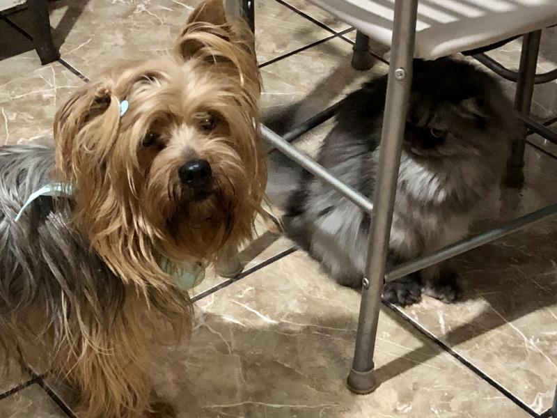 luzcas1106 uploaded   130  day/s  ago