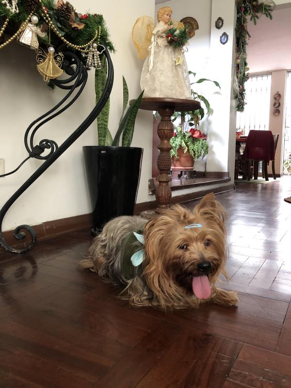 luzcas1106 uploaded   127  day/s  ago