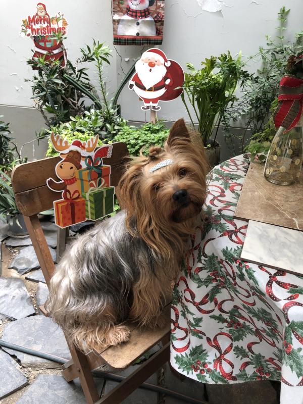 luzcas1106 uploaded   47  day/s  ago