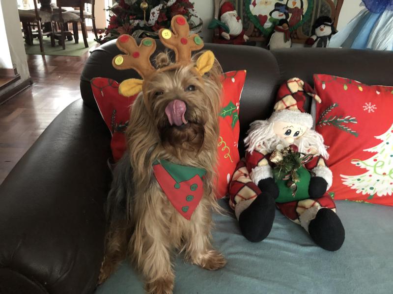 luzcas1106 uploaded   140  day/s  ago