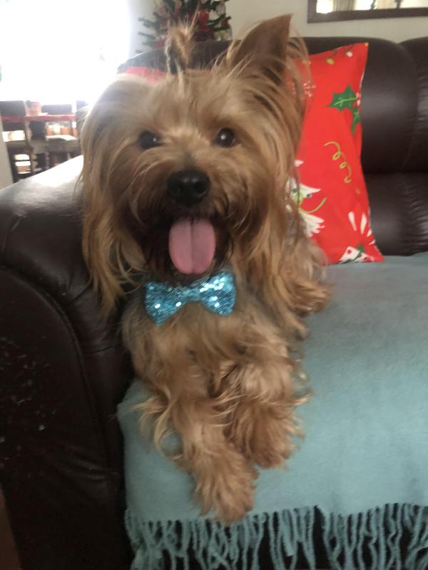 luzcas1106 uploaded   137  day/s  ago