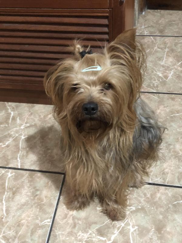 luzcas1106 uploaded   98  day/s  ago