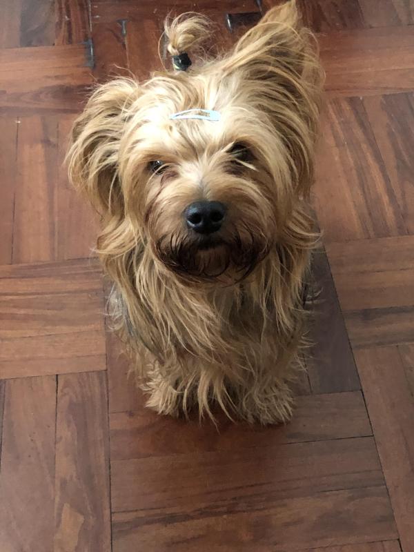 luzcas1106 uploaded   81  day/s  ago