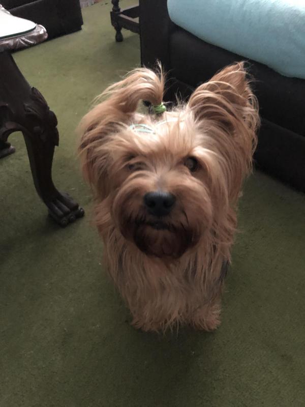 luzcas1106 uploaded   34  day/s  ago