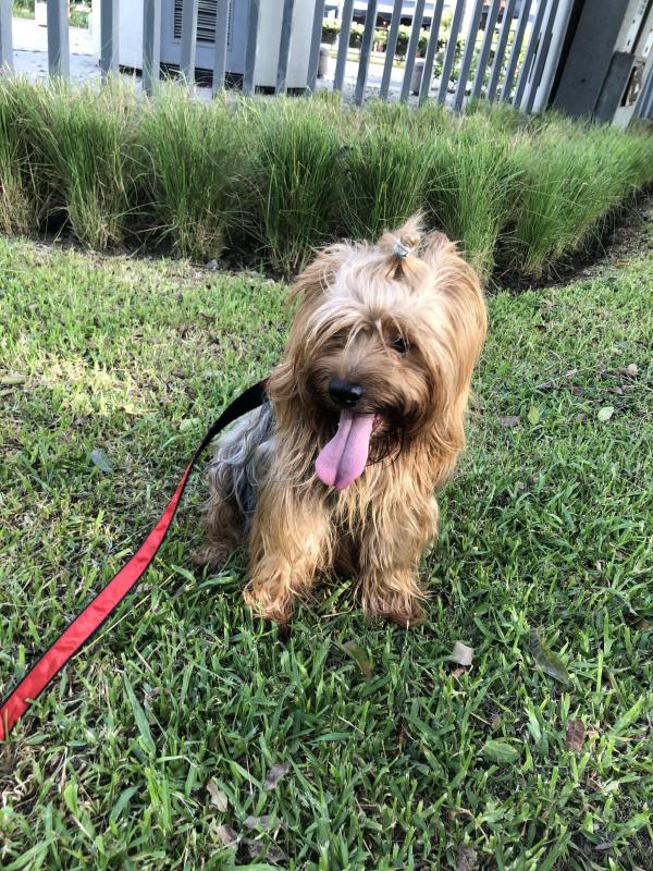 luzcas1106 uploaded   20  day/s  ago