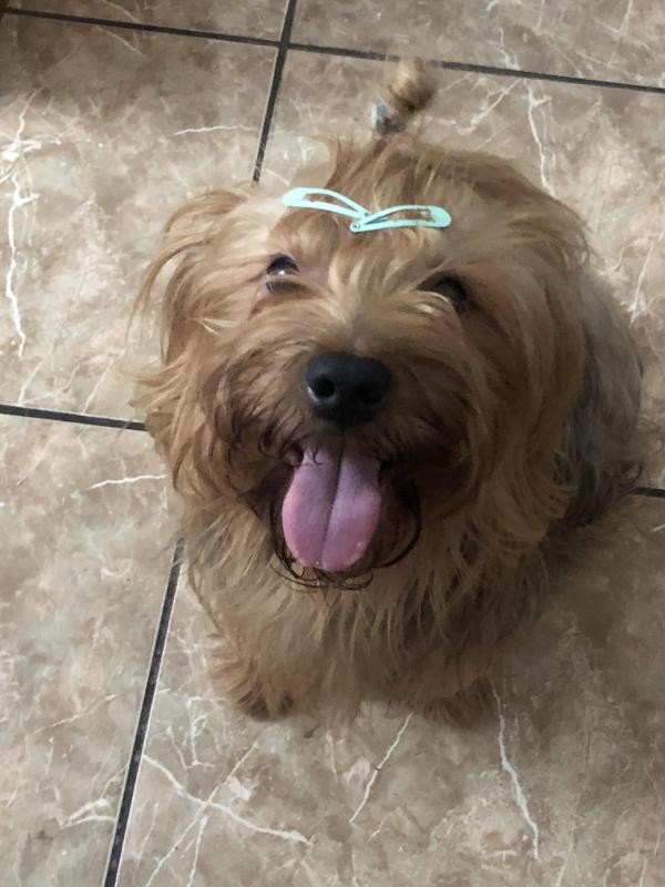 luzcas1106 uploaded   2  day/s  ago