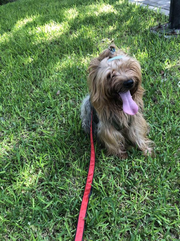 luzcas1106 uploaded   2  day/s  ago