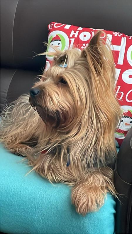 luzcas1106 uploaded   147  day/s  ago