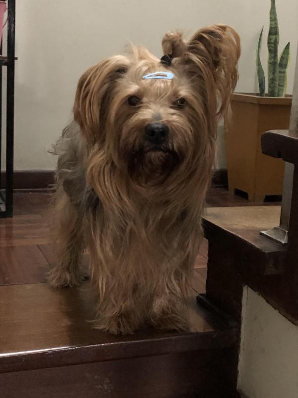 luzcas1106 uploaded   171  day/s  ago