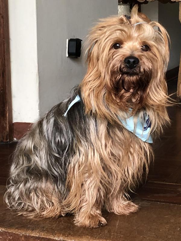 luzcas1106 uploaded   130  day/s  ago