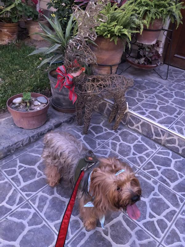 luzcas1106 uploaded   127  day/s  ago