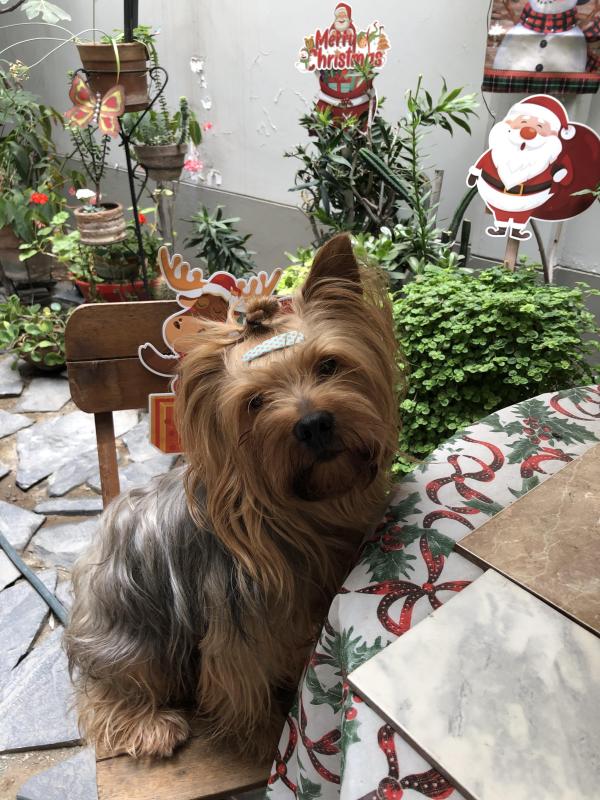 luzcas1106 uploaded   119  day/s  ago