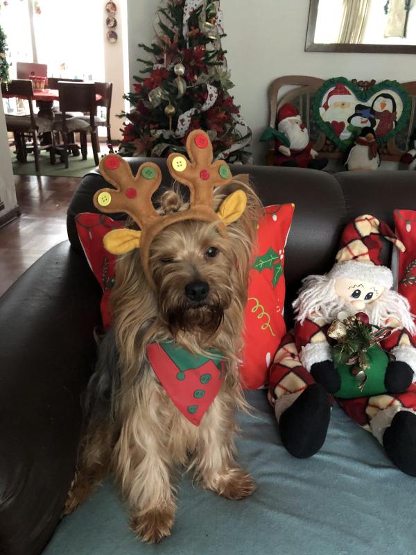 luzcas1106 uploaded   140  day/s  ago