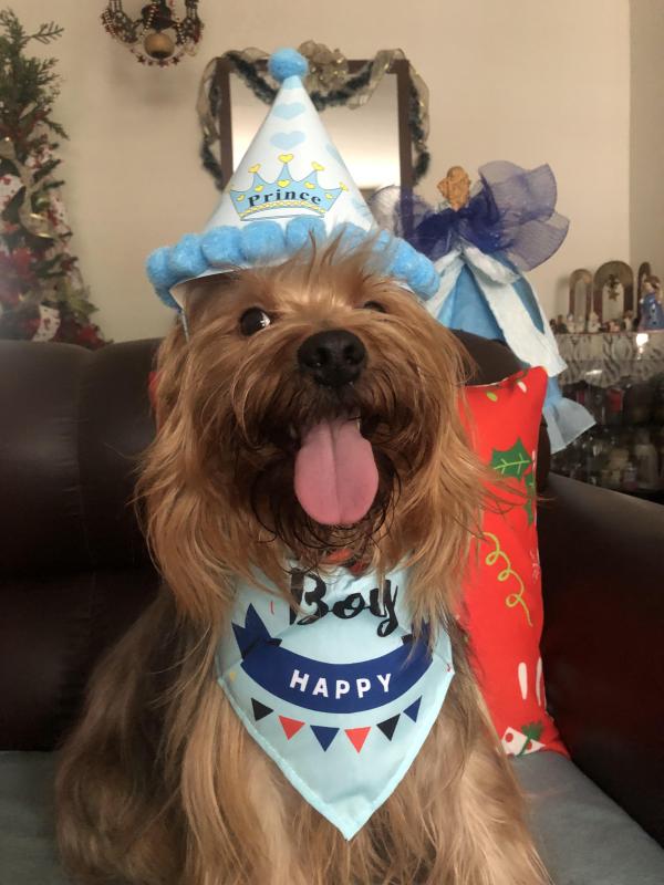 luzcas1106 uploaded   137  day/s  ago