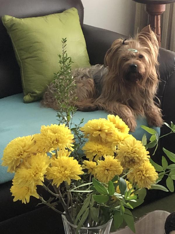 luzcas1106 uploaded   98  day/s  ago