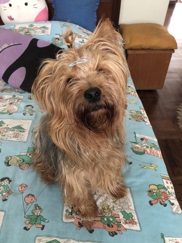 luzcas1106 uploaded   81  day/s  ago