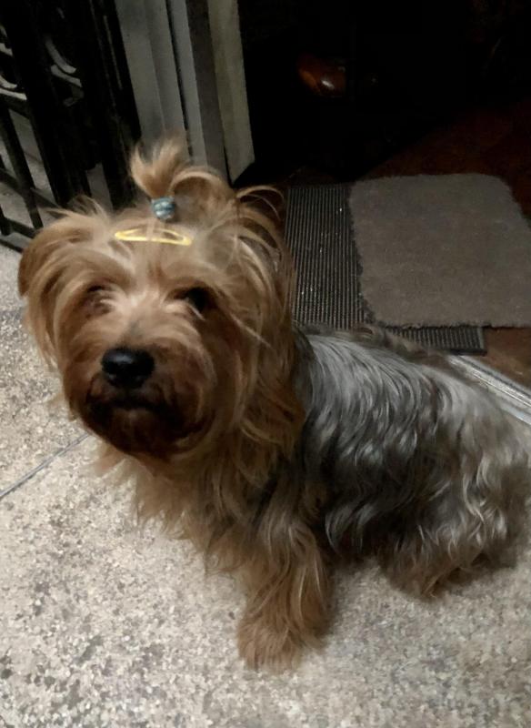 luzcas1106 uploaded   34  day/s  ago