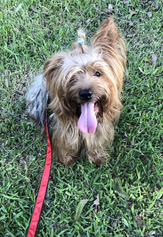 luzcas1106 uploaded   20  day/s  ago