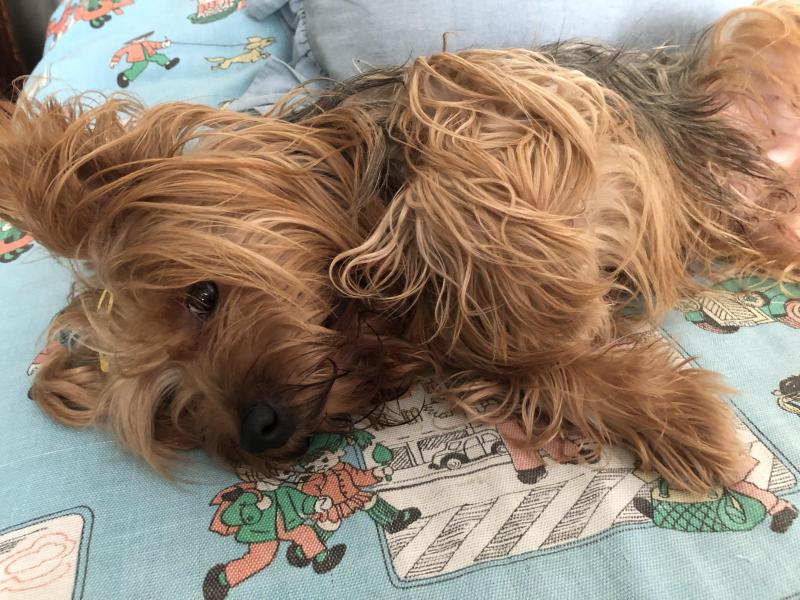 luzcas1106 uploaded   2  day/s  ago