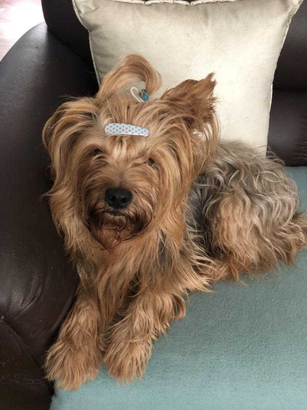 luzcas1106 uploaded   2  day/s  ago