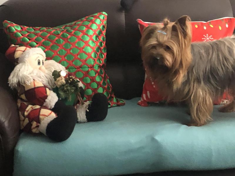 luzcas1106 uploaded   147  day/s  ago