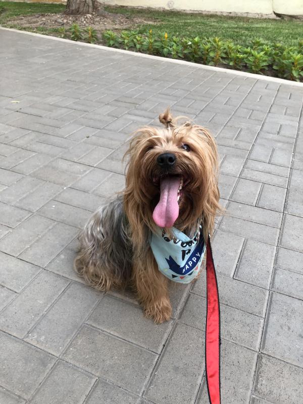 luzcas1106 uploaded   127  day/s  ago