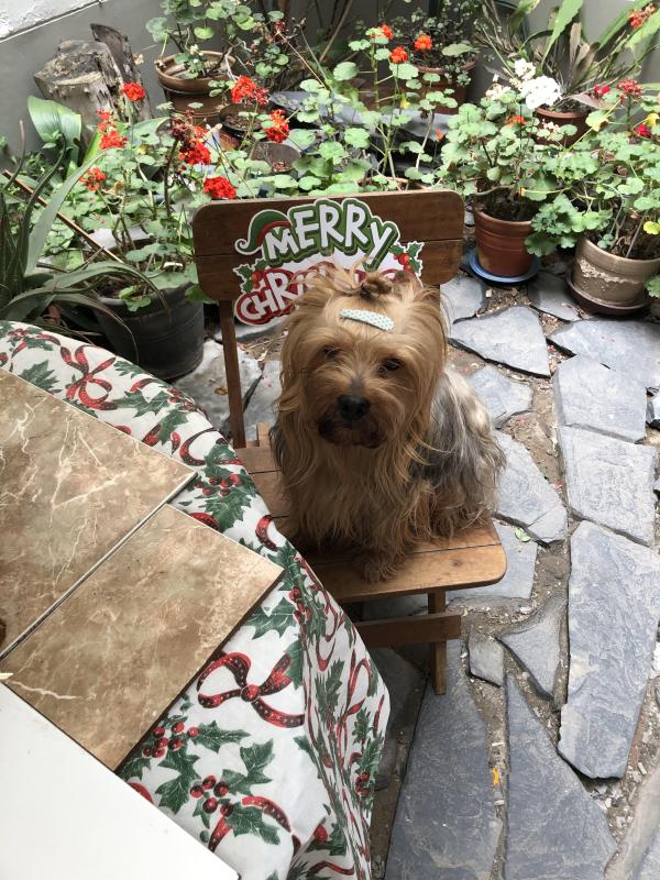 luzcas1106 uploaded   119  day/s  ago