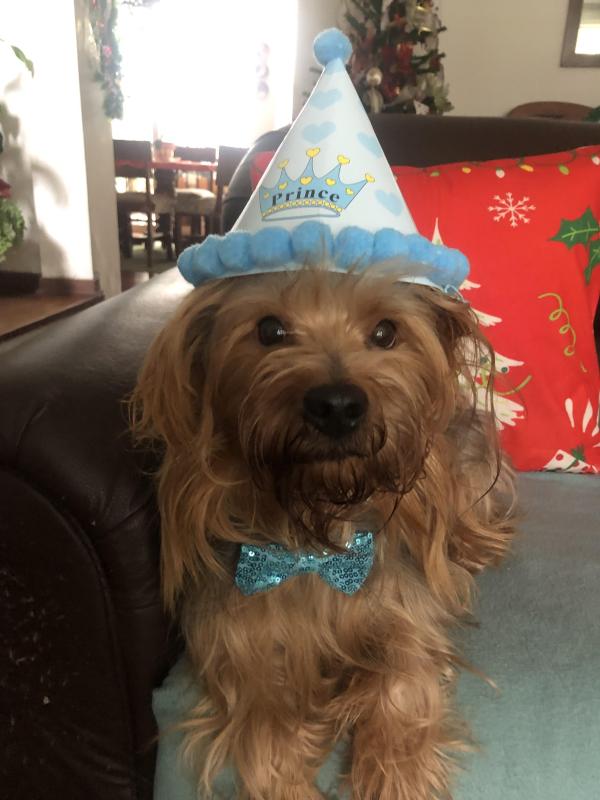 luzcas1106 uploaded   137  day/s  ago