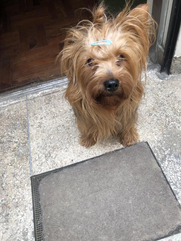 luzcas1106 uploaded   81  day/s  ago