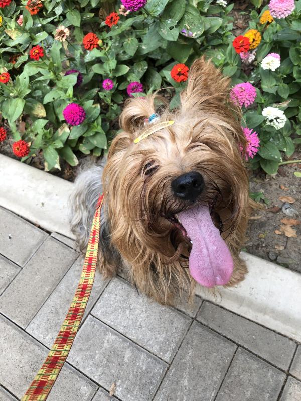 luzcas1106 uploaded   2  day/s  ago