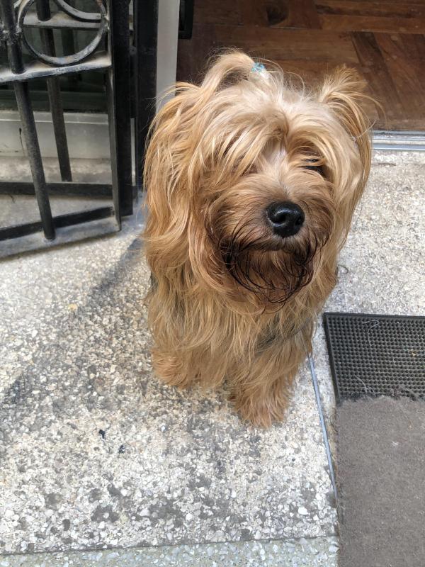 luzcas1106 uploaded   2  day/s  ago