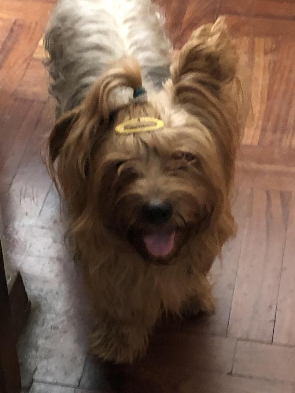 luzcas1106 uploaded   2  day/s  ago