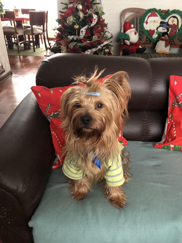 luzcas1106 uploaded   147  day/s  ago