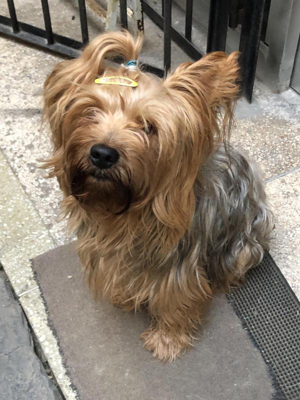 luzcas1106 uploaded   2  day/s  ago