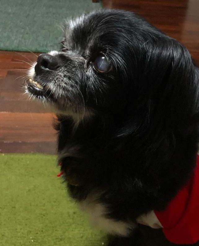 luzcas1106 uploaded   3 year/s ago