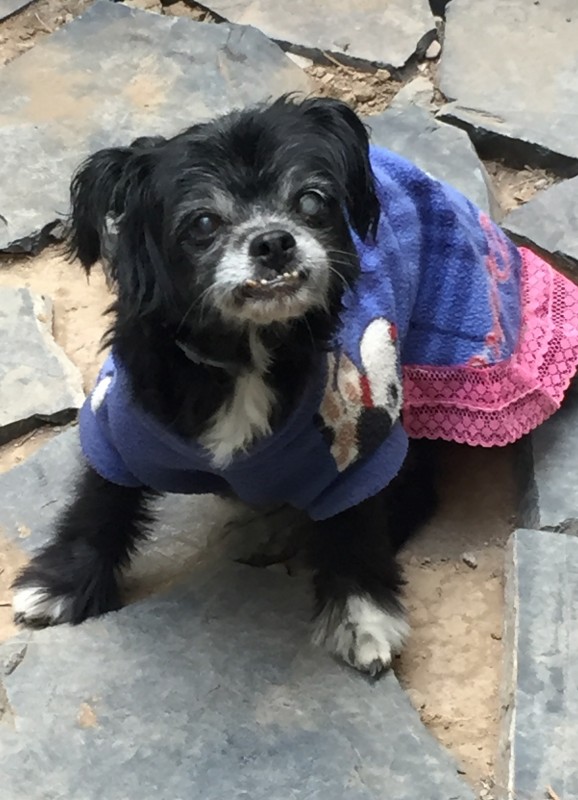 luzcas1106 uploaded   3 year/s ago