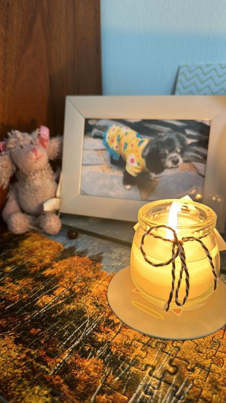 luzcas1106 uploaded   1 year/s ago