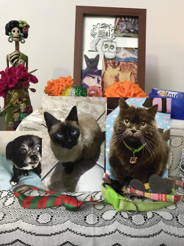 luzcas1106 uploaded   178  day/s  ago