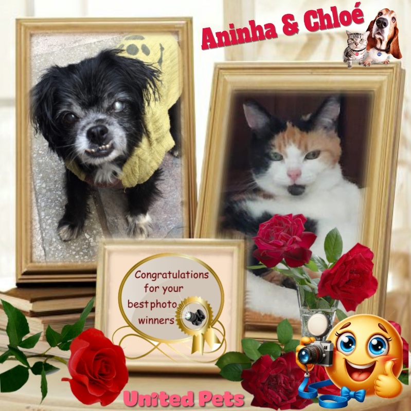 Aninha of the luzcas1106 family