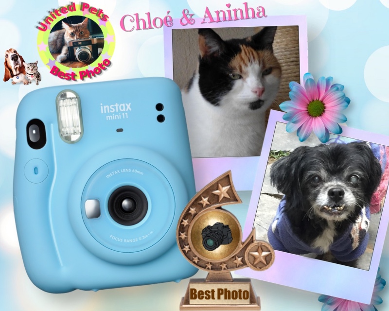 Aninha of the luzcas1106 family