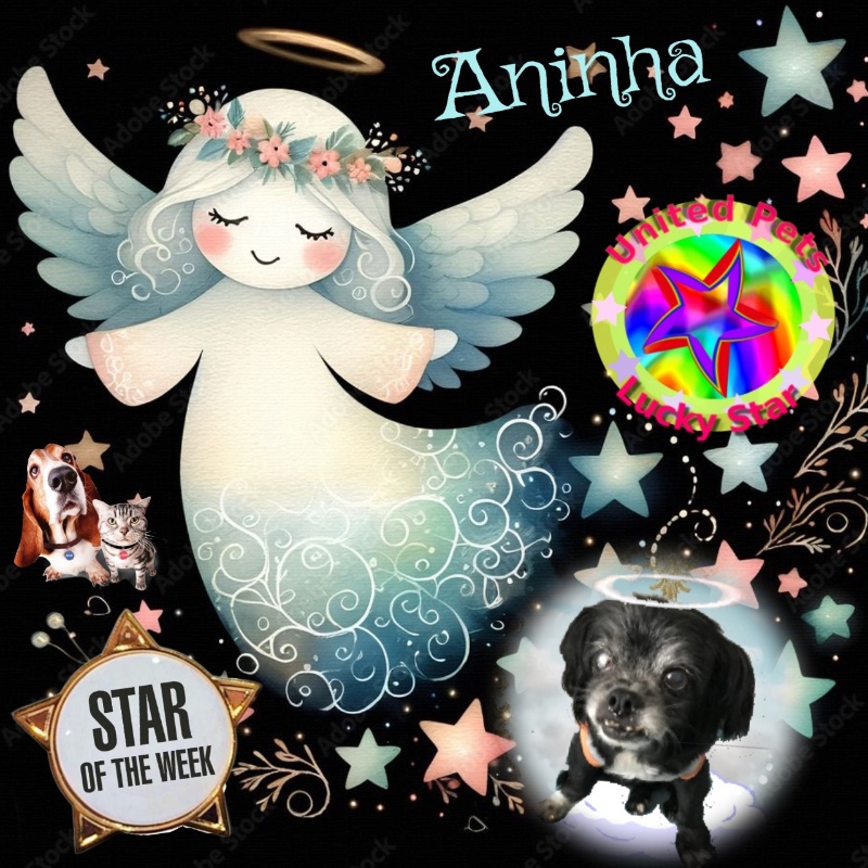 Aninha of the luzcas1106 family