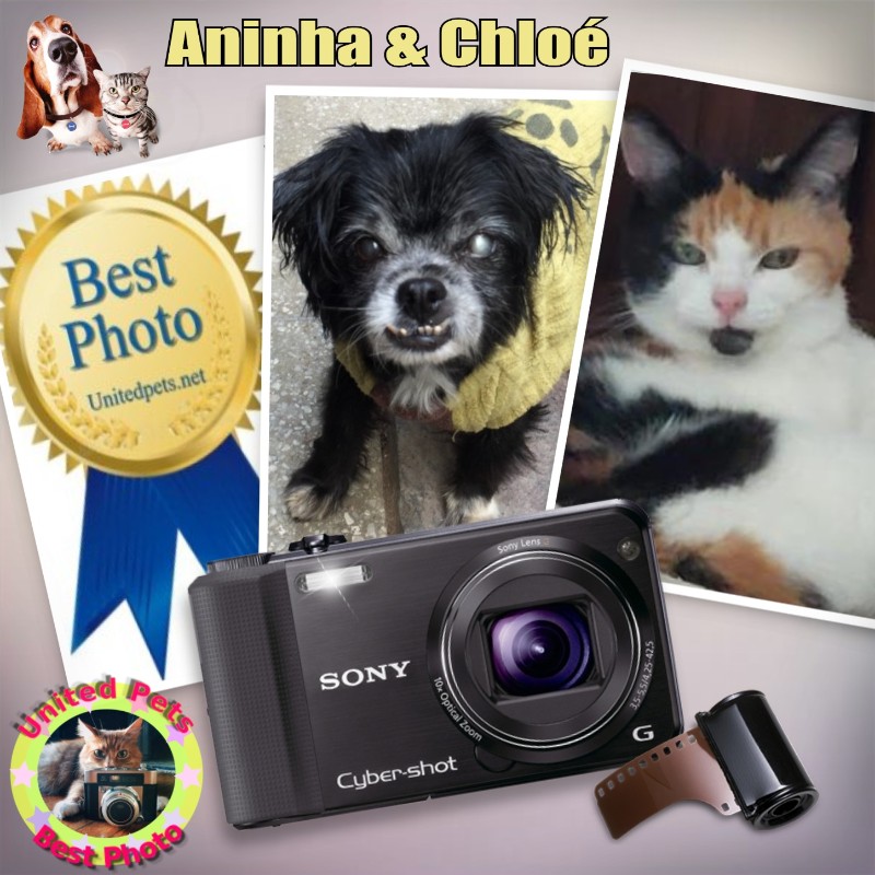 Aninha of the luzcas1106 family