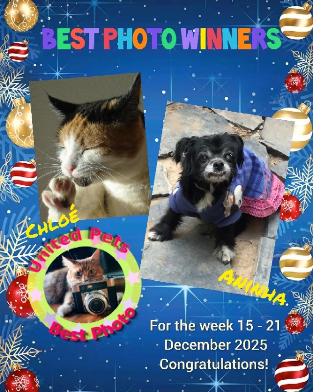 Aninha of the luzcas1106 family