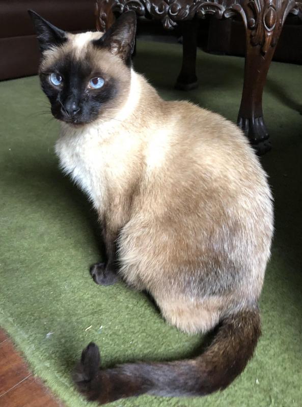 luzcas1106 uploaded   1 year/s ago