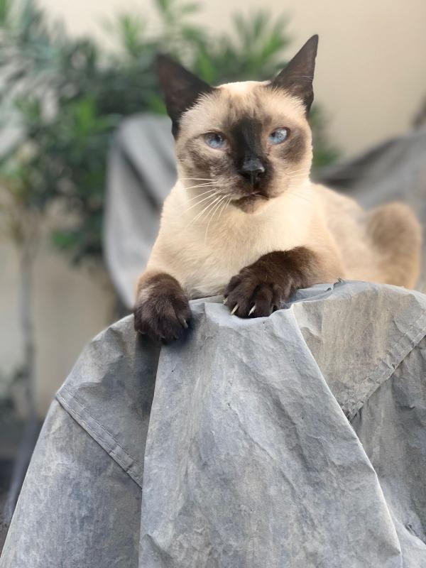 luzcas1106 uploaded   1 year/s ago