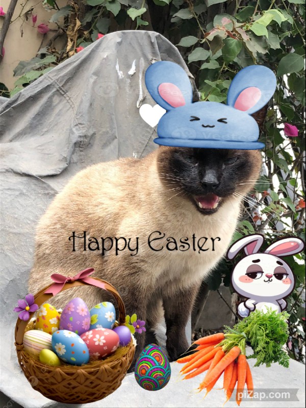 Cucho of the luzcas1106 family