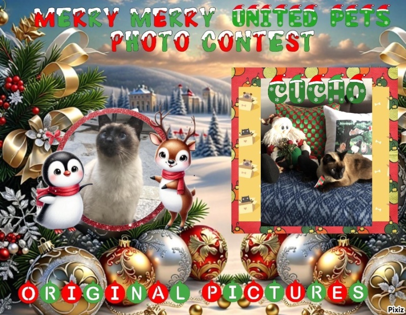 Cucho of the luzcas1106 family