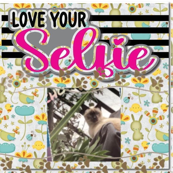 luzcas1106 uploaded   2 year/s ago