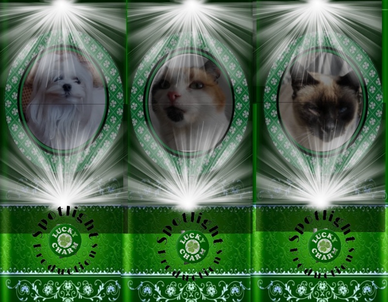 Cucho of the luzcas1106 family